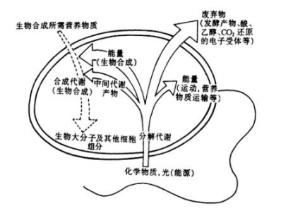 微信截图_20220121102121