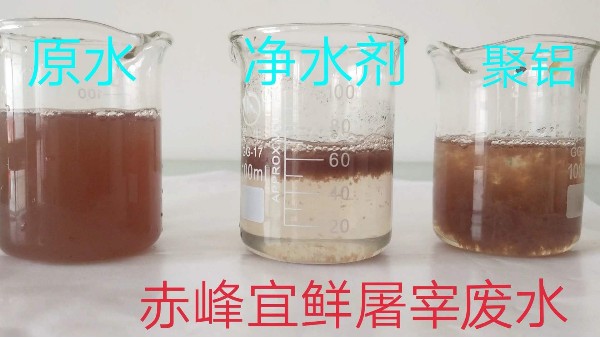 美赢环保解析聚丙烯酰胺使用的作用原理，与聚硅酸铝配合使用效果。