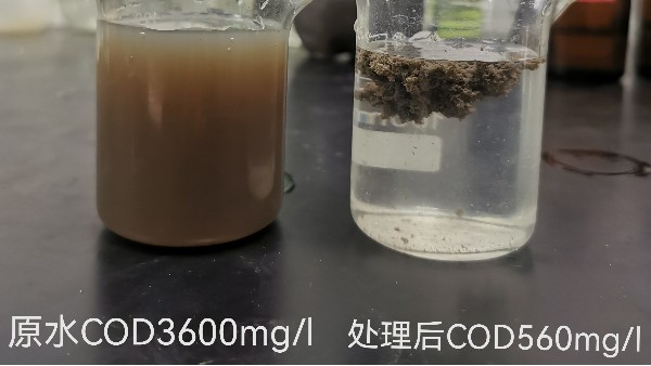 废水中微生物所需的各营养元素之间的比例为多少？