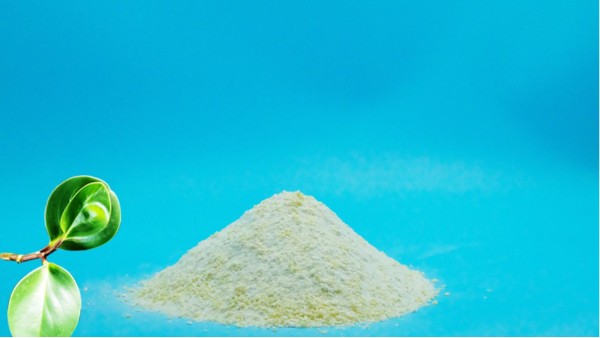 导致污泥膨胀的原因有哪些？