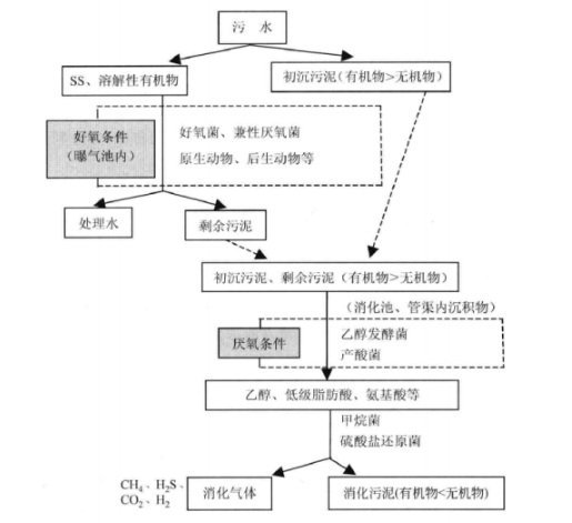 微生物1