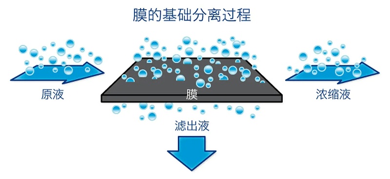 膜分离技术.webp