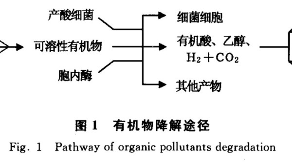 好氧生物处理技术的原理